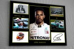 Lewis-Hamilton-F1-Mercedes-2019-Framed-Canvas-Print.jpg