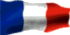 france 1.gif