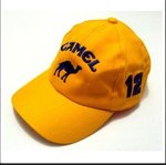 SENNA-CAMEL-LOTUS-CAR-12-CAP.jpg