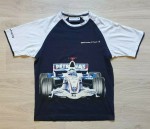 BMW-Sauber-F1-Team-Petronas-Power-Racing-T.jpg