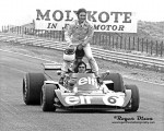 Cevert a Howden Ganley 1973 Dutch GP.jpg