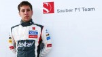 2013-398483-robin-frijns-18-07-2013-formula-one-young-drivers-test-day-2-silverstone-engla1.jpg