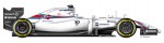 williams_big2.jpg