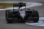 Jerez-Felipe Massa (31. Ledna 2014).jpg